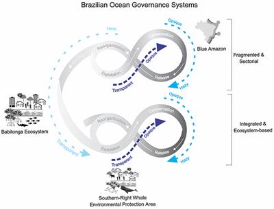 Healing Brazil's Blue Amazon: The Role of Knowledge Networks in Nurturing Cross-Scale Transformations at the Frontlines of Ocean Sustainability